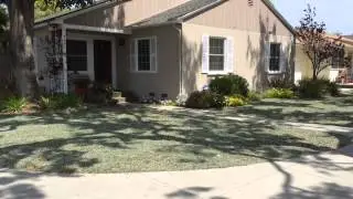 What is the Best Drought Tolerant Plant To Replace Grass - Dymondia