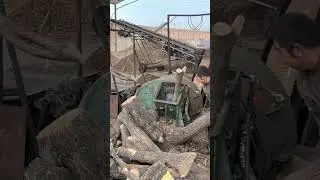 Wood crushing Waste wood recycling#Woodcrusher #woodwaste #Refusecrusher #woodpellet #wood
