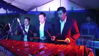 Marimba Ecos de Hormigo  2017