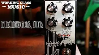 Lil Pig Pedal Review (ElectroFoods) | Working Class Music