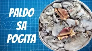 Paldo tayo sa pogita