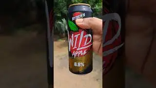 Яблочное пиво.. только на Шри-Ланке #пиво #Applebeer #lionbeer