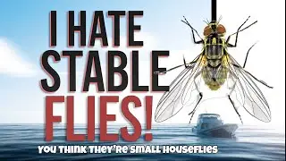 THOSE BITING FLIES EAT 4 TIMES THEIR WEIGHT!