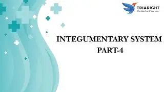 Integumentary System PART-4-MEDICAL CODING