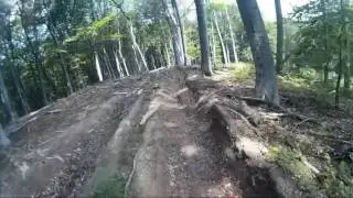Shared-Trails: Wurzel-Trail