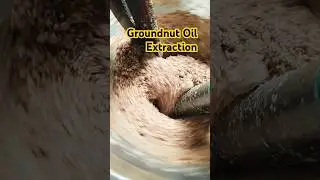 Groundnut Oil #Shorts#Best #Food#Oil#Pure #extraction#Oil Mill