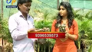 Show Power Plants | Udyana Sobha | Sakhi | 9th March 2018 | ETV Telangana