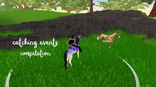 holiday event catching compilation!! - wild horse islands