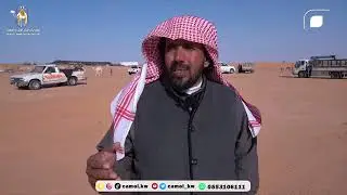 المستثمر / باتل جبر الكده السبيعي #مزاد_الإبل_بالجوف
