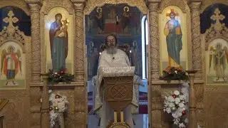 Ajutorul Sf. Ioan Botezătorul pentru cei ce se nevoiesc în via lui Hristos – Pr. Dan Popovici