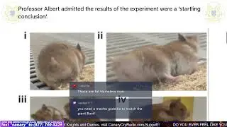 Turning Fluffy Hamsters into Aggressive Mutant Rage Monsters - CCNT 491