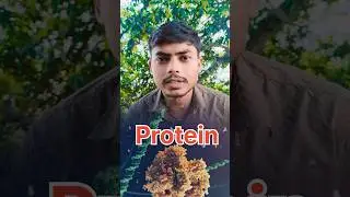 function of Ribosomes #ytshorts #shorts #viral#chintupriyanshu