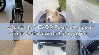 Avis sur la VEVOR Poussette pour Chien Animaux de Compagnie 4 Roues Pivotantes avec Freins Capacité