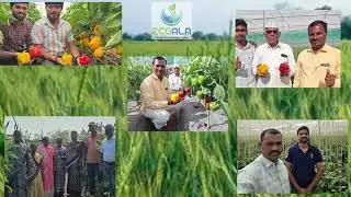 From Soil to Success 🌾 | Agriculture Innovation for Farmers