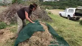 Mikal and Steph share some of the benefits of Mulch 