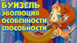 БУИЗЕЛЬ  ЭВОЛЮЦИЯ, ОСОБЕННОСТИ, СПОСОБНОСТИ