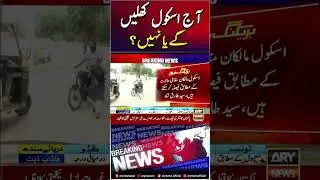 Will schools open today or not? #breakingnews #shorts #ytshorts #karachi #school #education