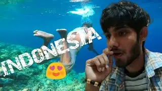 WONDERFUL INDONESIA INDIAN REACTION