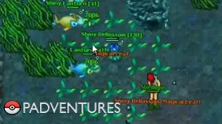 Padventures - Shiny Lanturn, where to hunt(80+)