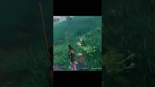Spear Huntering and Gathering be like...   #valheim #gameplay #letsplay #gaming #games #fojiiberry
