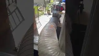 Bed Bug Extermination Experts in Toronto