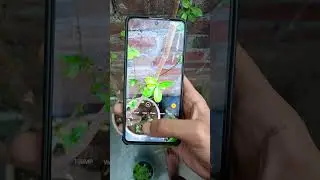 poco m7 pro /redmi note 14 camera test #mobile #mobilephone #poco #redmi #camera