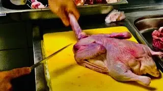 🐔🦆 