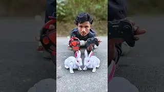 remote control rabbit #unboxing #toys #shorts #rabbit 🐰
