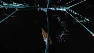 Gyre trees