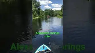 SUP Paddling Florida