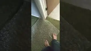 big bubble wrap