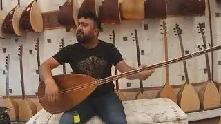 Tahir uçar 
