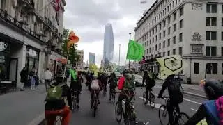 Extinction Rebellion Cyclists 'Swarm' London's Tate Modern to Protest Insect Death