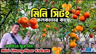 সিটং-এর স্বাদ এবার আশোকনগরে  কলকাতার কাছে 🌿🍊 | Mini Sittong Near Kolkata | Weekend tour from Kolkata