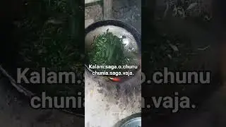 #love #hindisong song. new aitum.sasmita.panda.village. ଶାଗ vaja.