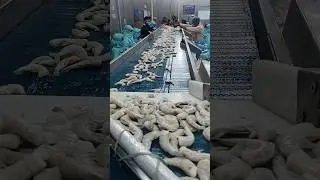 conveyor belt working