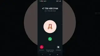 Vivo Y17s incoming call! 