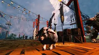 GW2 │DOLYAK FLYING RACE - Festival of the Four Winds