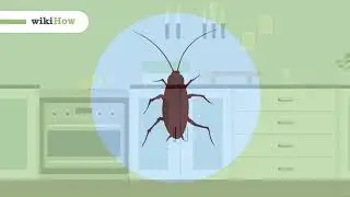 Comment Se D&eacute;barrasser Des Blattes