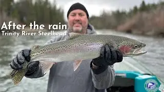 Trinity River Steelhead || After the Rain || Confluence Outfitters
