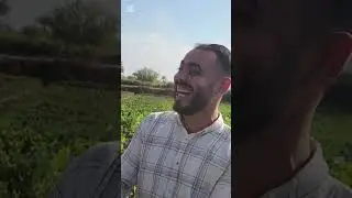 ضرب ابن مديحه واخد منو الارض