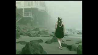 Palm Wine - Freedom (Official Music Video)