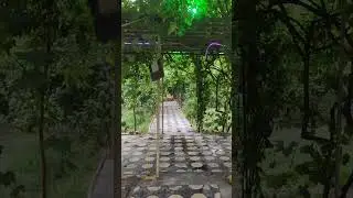 دار استراحه دونم طابو سند منفرد العنوان كربلاء البوبيات السعر ٥٦٠ مليون ٠٧٨٠٣٣٦٥٠٢٠٧/٠٧٧٣٦٠٣٣٨٨٩