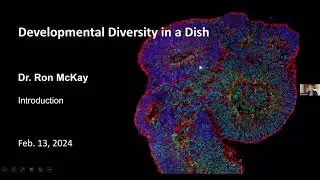 Ron McKay: Introduction of Drs. Micali and Seo in Developmental Diversity in a Dish Seminar Series
