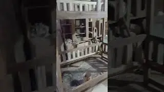 #wood#woodwork #woodworking #wooddesigner #interiordesign #instagram #viralvideo #reaction