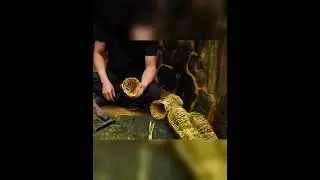 🌲 Deep in the Forest: Building a Hidden Tree Shelter Using Primitive Tools 🔥🏡🛠️