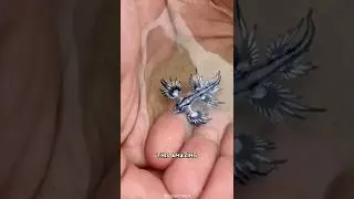 Blue Sea Dragon 🌊 One Of The Most Beautiful Sea Creatures | Glaucus Atlanticus #shorts
