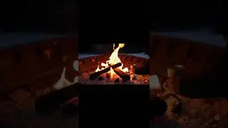 Must Watch: Visuals of Winter Life in Kashmir | Stunning Snowy Scenes
