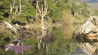Ciudad de Cochrane - Lago Esmeralda Patagonia chilena.