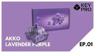 AKKO Switches Series EP.01 Akko Lavender Purple (Tactile) | MERMER 🏖